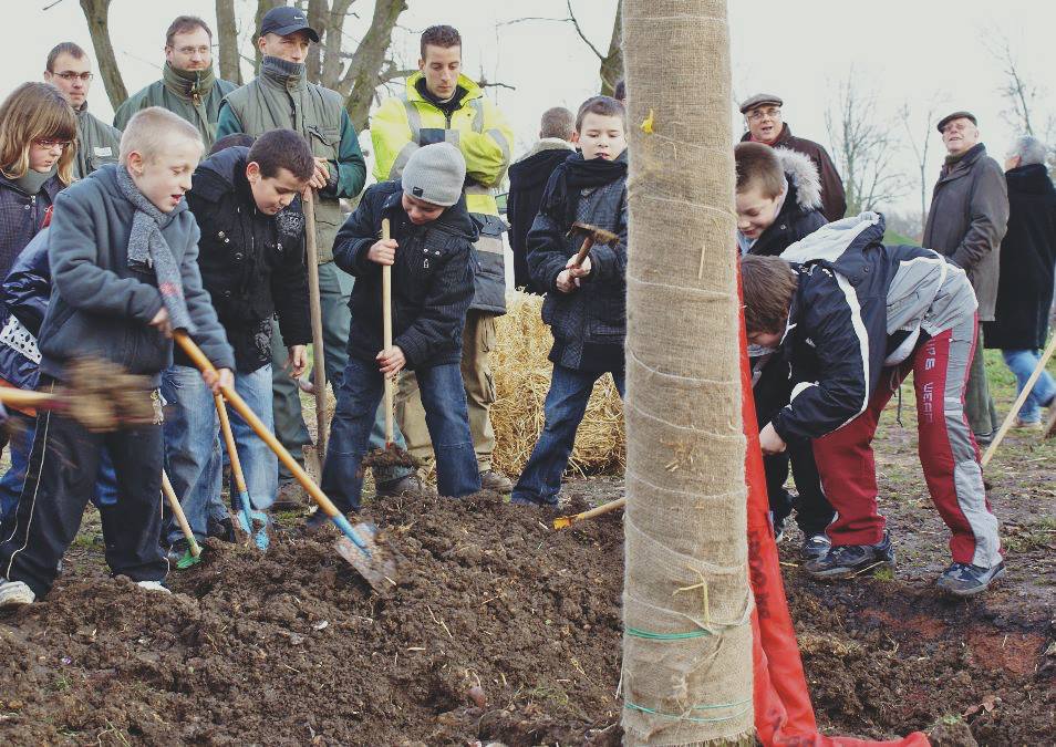 Plantation d'arbres en Avesnois financée par la Fondation de Lille